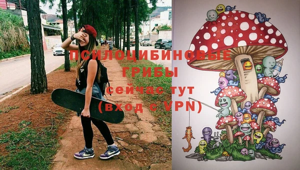 СК Сатка