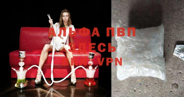 СК Сатка