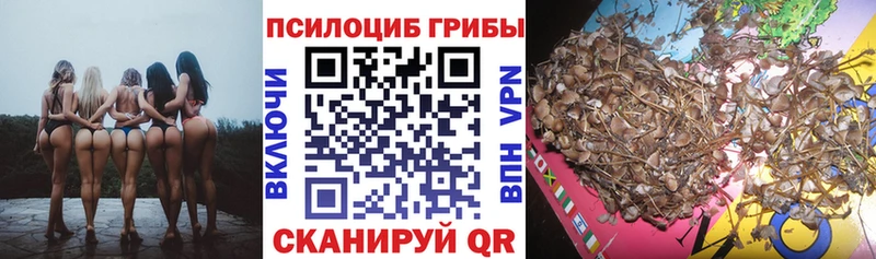 Купить закладки  Чусовой  Псилоцибиновые грибы мухоморы 